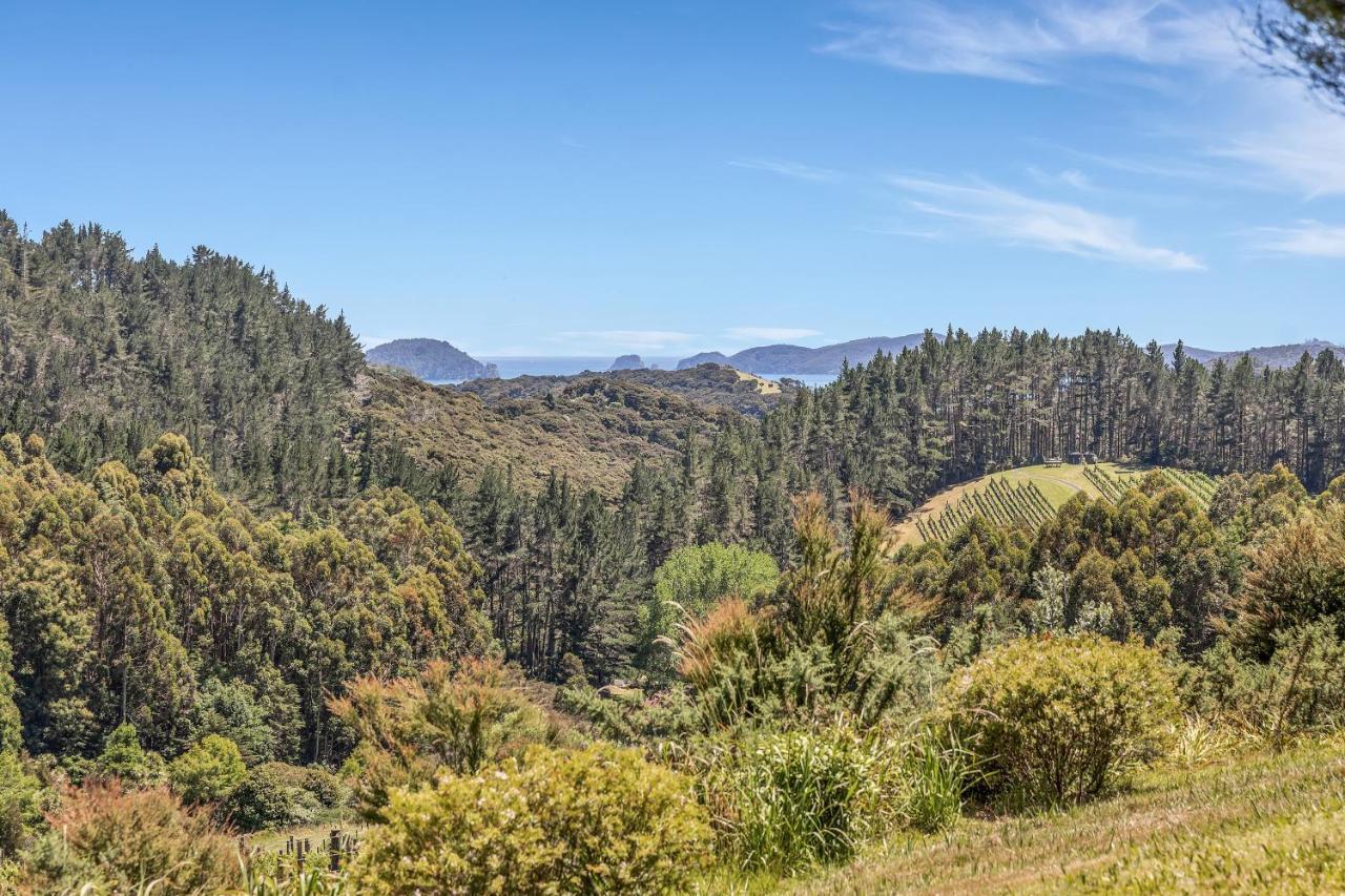 Paroa Bay Chalets - Te Whare Kereru Russell Eksteriør billede